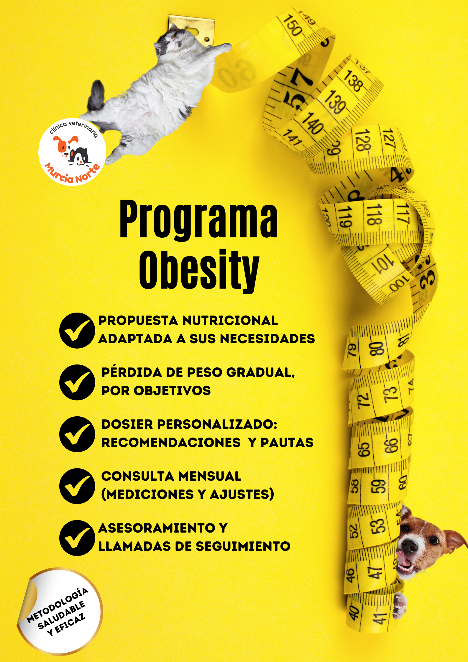 obesidad perro, obesidad gato, programa veterinario contra la obesidad, perro gordo, gato gordo, solución obesidad veterinaria